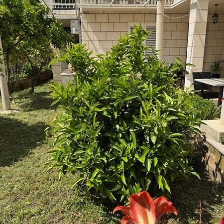 ホテル カタリーナ ルームス ドゥブロブニク エクステリア 写真